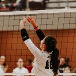 WI Stock Up Showcase: Setters You Need to Know