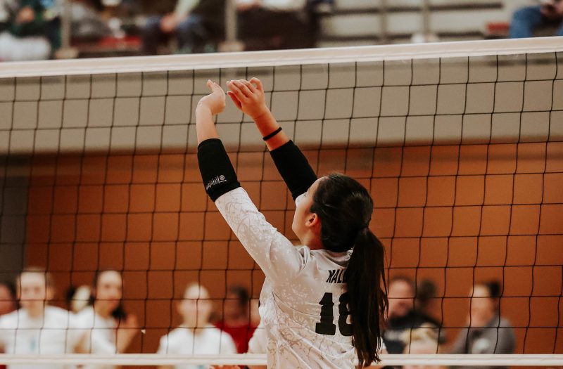 WI Stock Up Showcase: Setters You Need to Know