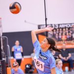 Maryland All-County Teams: IAAM