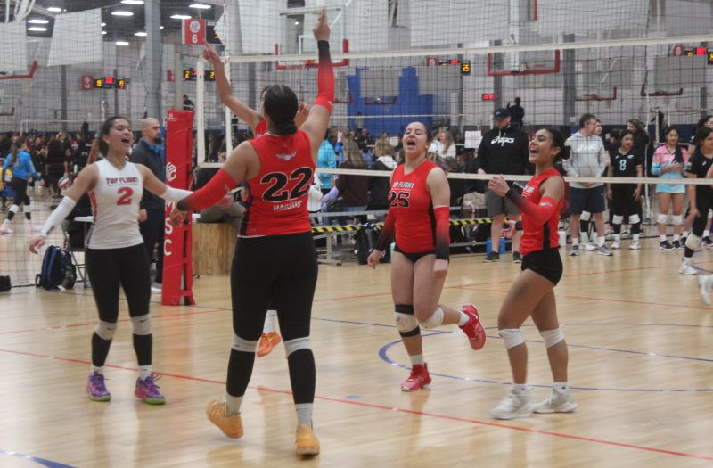 Elevating Excellence: Top Flight Volleyball Academy
