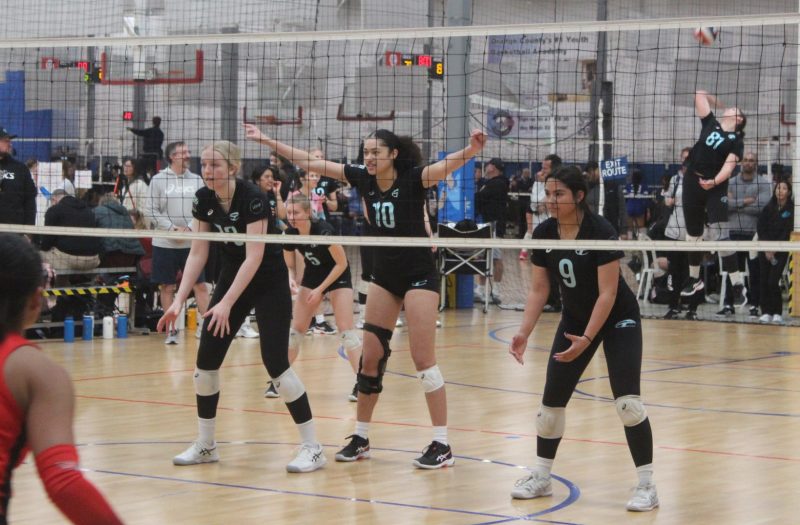 Unveiling the Dynamic Roles: Exploring Every Volleyball Position
