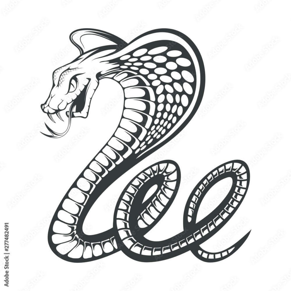 Jacksoville cobras