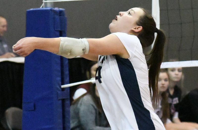 Michigan Winter Rankings Update: 2025 Liberos