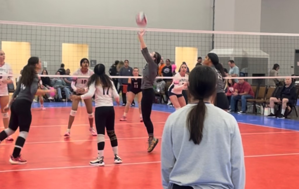 2024 Emperor’s Cup - Setters to Watch