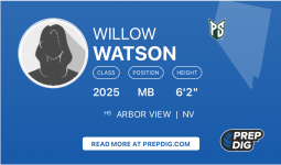 Willow Watson
