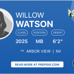 Willow Watson