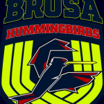 Brusa Volleyball Club