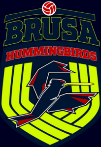Brusa Volleyball Club