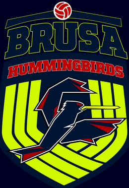 Brusa Volleyball Club