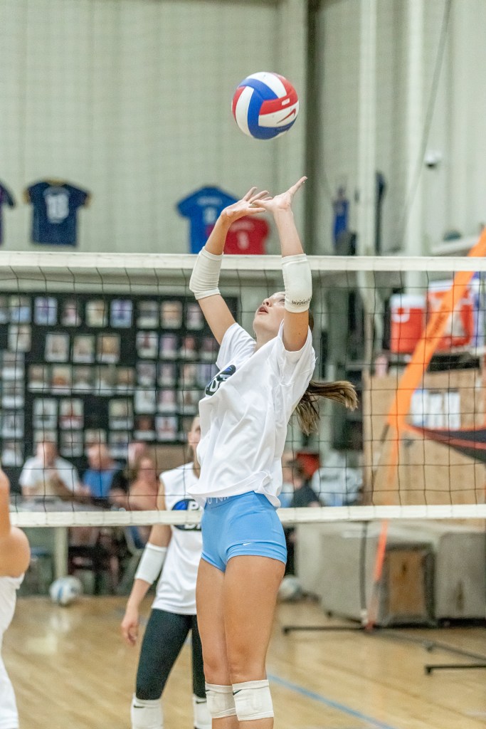 Oregon Stock Up Showcase: 2025 Setters