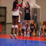 Haylee Kasner