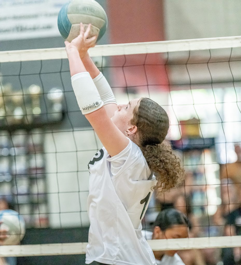 Oregon Stock Up Showcase: 2026 Setters