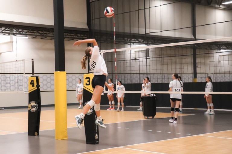 Offensive Weapons from the Stock Up Showcase: Part 1