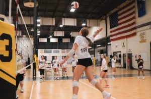 WI Stock Up Showcase: Pin Hitters You Need to Know