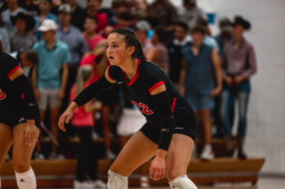 Kamryn Steinhauer