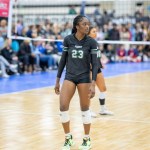 Maya Ogbogu