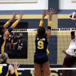 Fantastic Texas Freshmen – Vol. 3