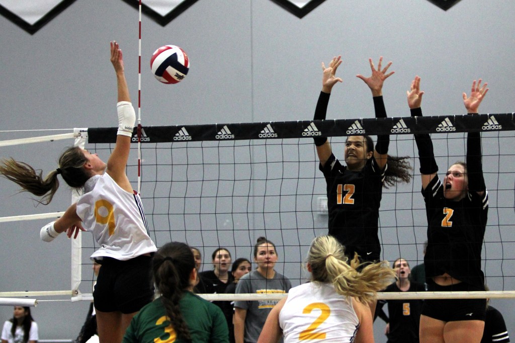 Houston Open 2024: Right Sides