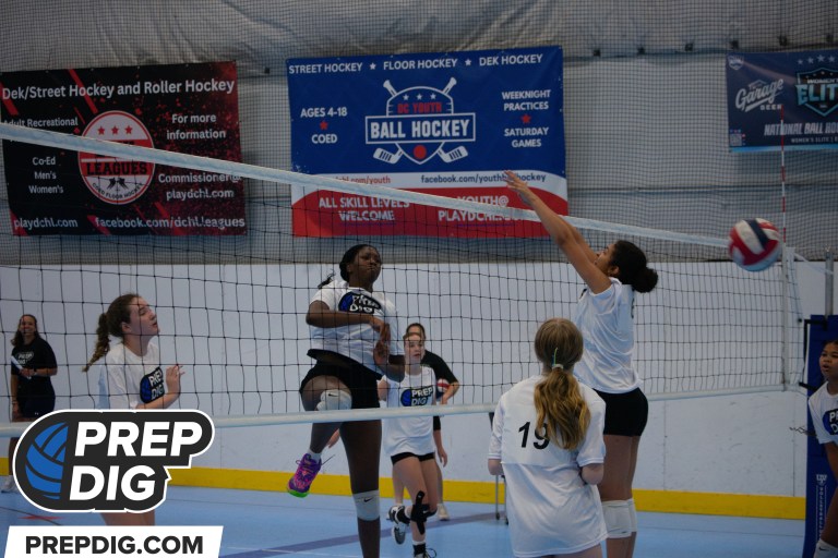 Setters to Watch from the DMV Prep Dig 250 Expo