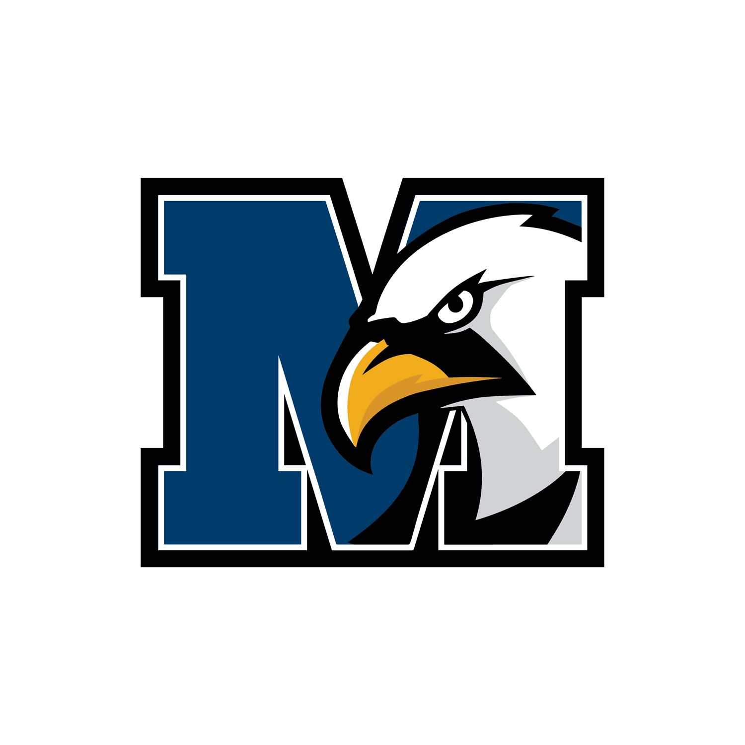 New York Mills Prep Dig