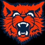 Evanston (Twp.)