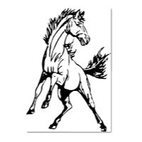 Meridian