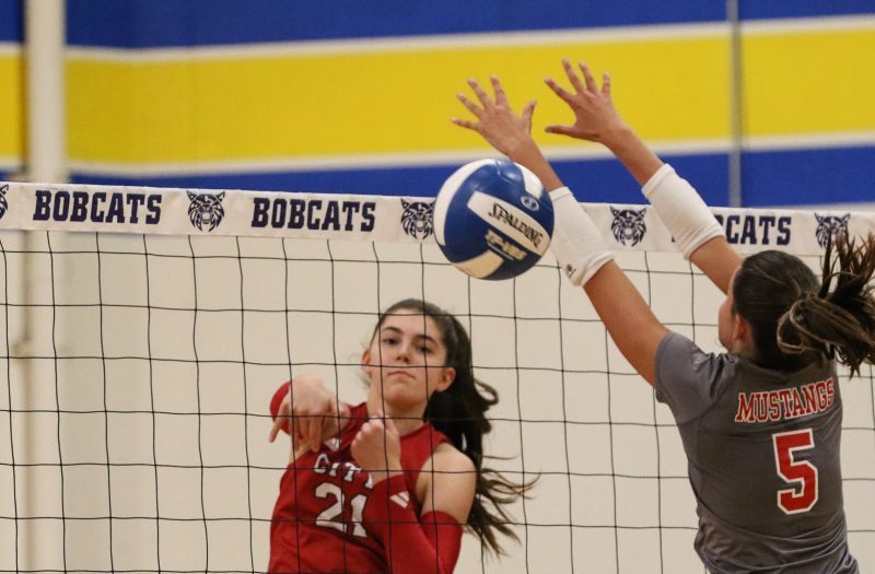 Who Helped Lead Their Team To The Regional Final: 5A