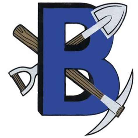 Bingham