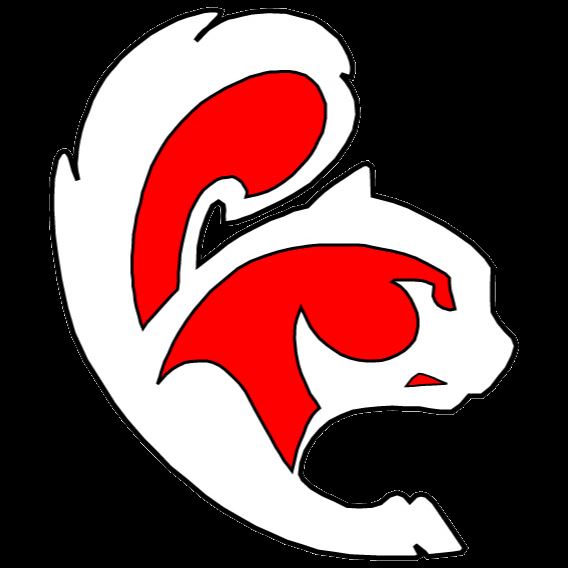 Central Cass Prep Dig