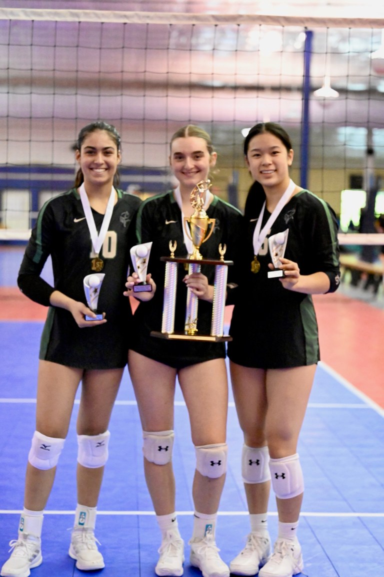 Virginia Volleyball Showcase All Tournament Team