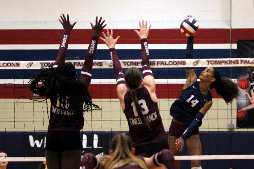 Houston Area 2025 HS Previews: District 19