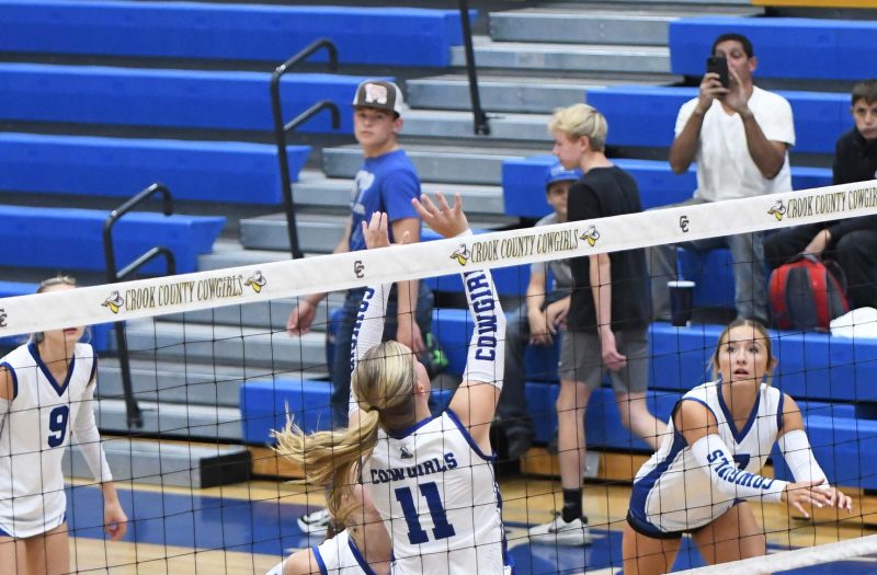 2025: The Stock Risers | Prep Dig