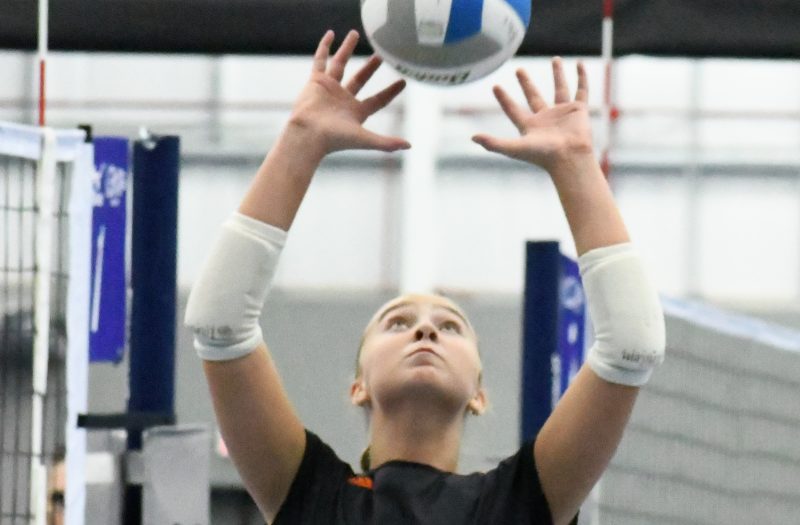 2026’s Shining Stars In Grand Rapids, Part 1