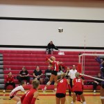 Avery Diener
