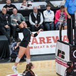 Katie Scheckel
