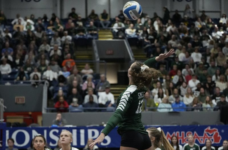 2024 MHSAA Division III All-Tournament Dream Team