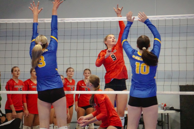 The Almosts: Class AA