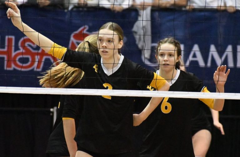 2024 D4 Semifinals: Key Players &amp;amp; Predictions
