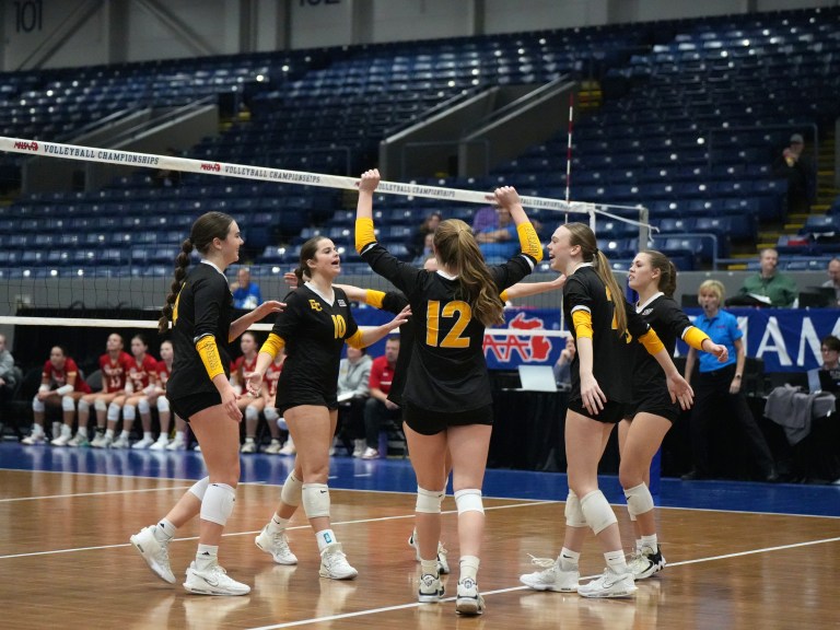 2024 Michigan HS D4 All-Prep Dig Teams