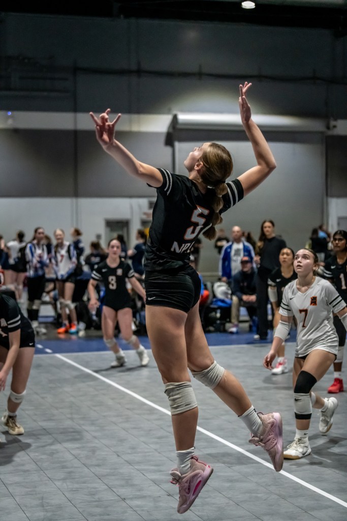 2027: The Stock Risers