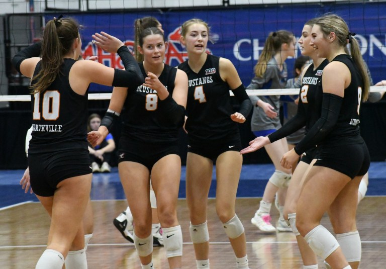 2024 Michigan HS D1 All Prep-Dig Teams