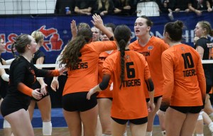 2025 Division 1 District Predictions