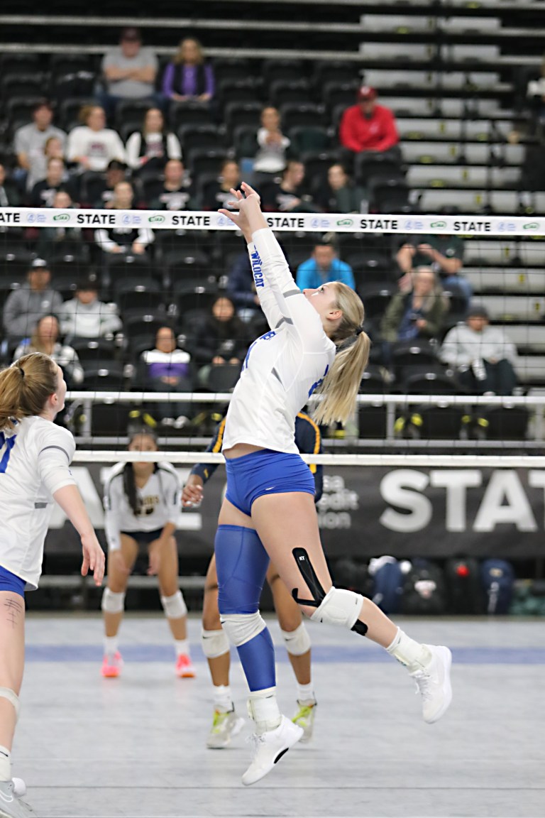 Quinn Erickson