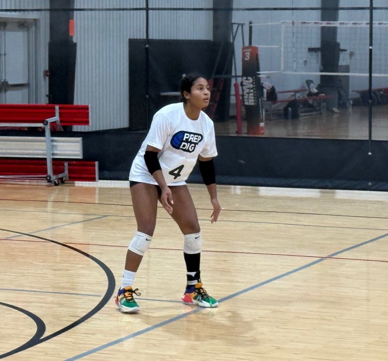 Superb Setters: Kentucky 250 Expo Standouts