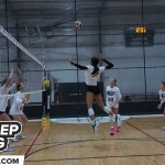 Middle Blocker Magic: Top Performers PrepDig KY 250 Expo