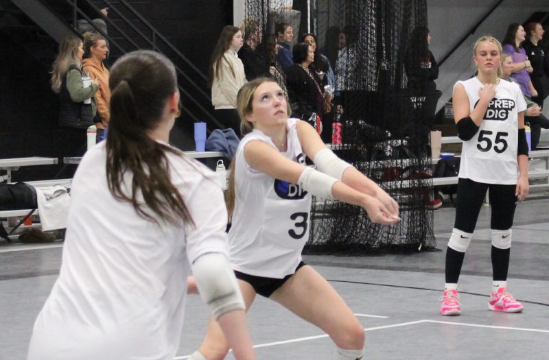 Which 2026s Made Gains at #PDTop250ExpoIA?