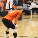 Remi Larson