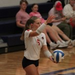 Delaney Spaulding