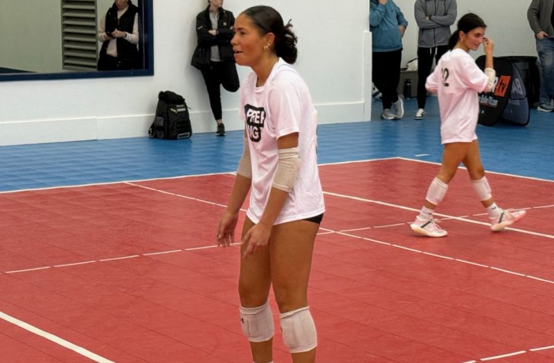 AVC Spotlight: Five to See in January