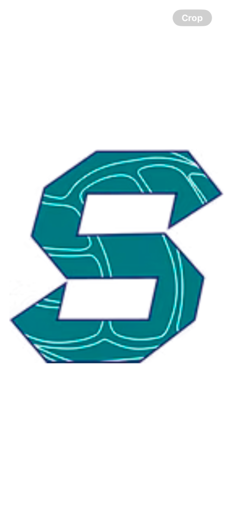 Seattle Volleyball Academy
